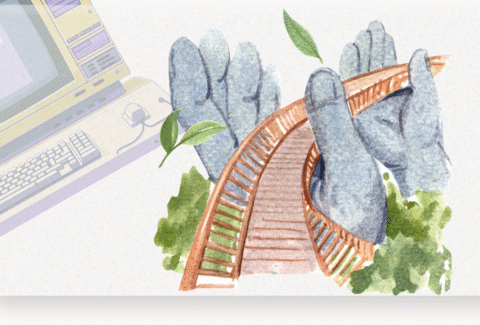 bridge